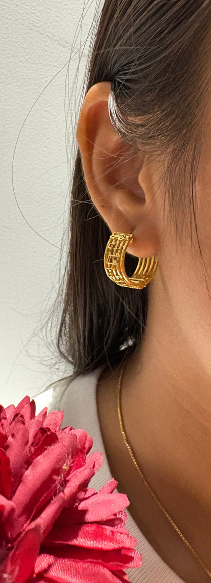 Encore Hoops